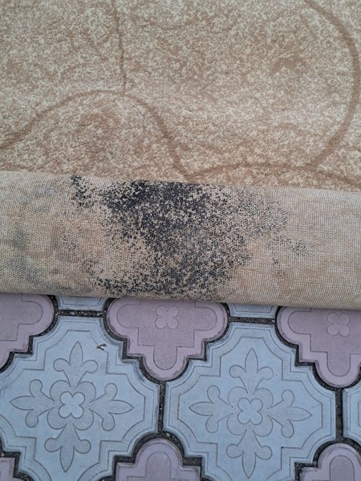 Продается ковер б/у