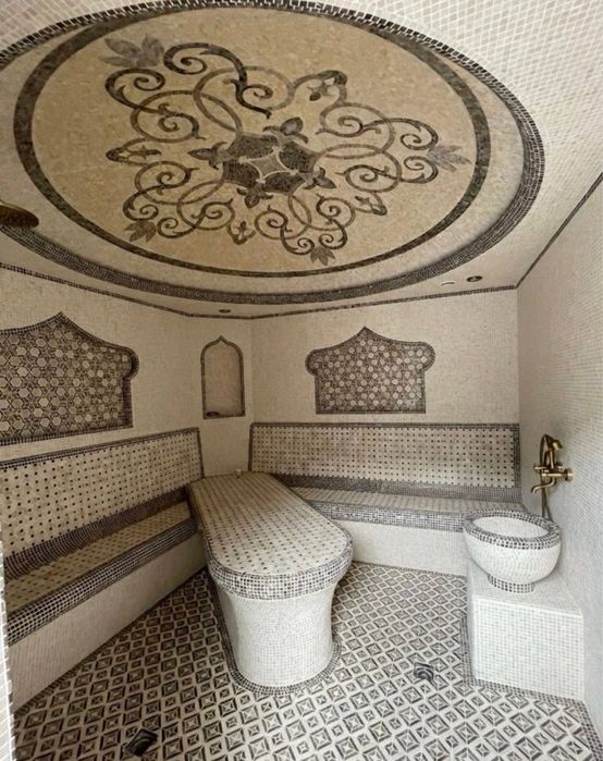 Дурмень Дом 24 соток