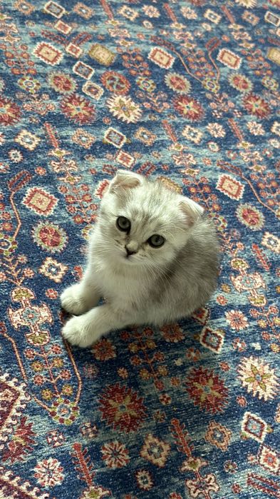 В очень хорошие руки