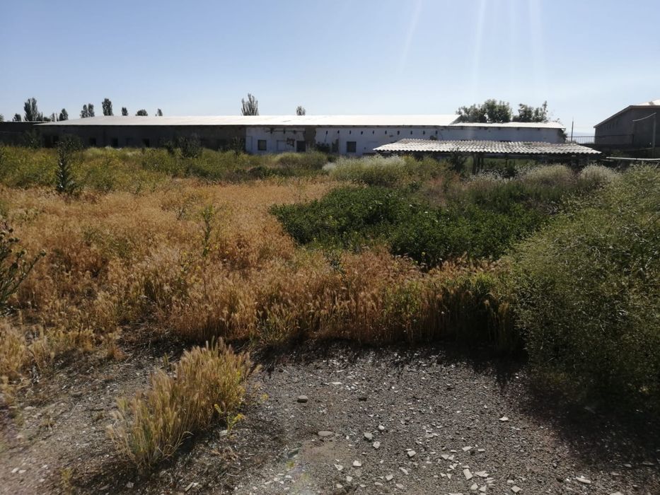 Продам участок 25 сот за 11 млн