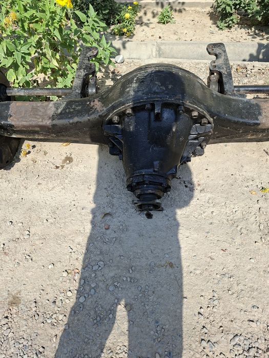 Крокодил мос 41 талик