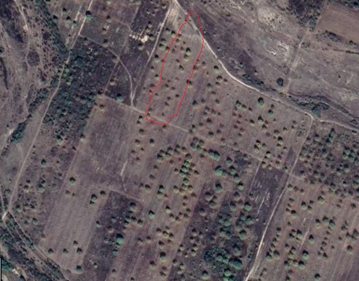 Продава се Земеделски имот в с. Ръжево Конаре, Област Пловдив -  кв.м за 2938 €/дка - Снимка #3