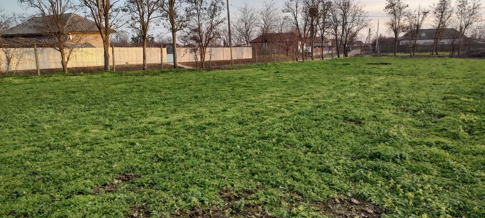 Teren intravilan Sabangia -Tulcea