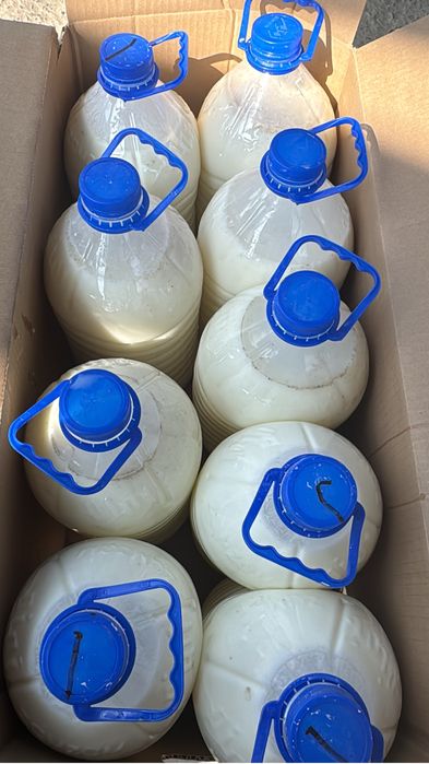 Нағыз қымыз шұбат оптом