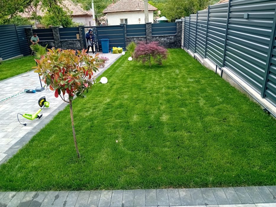 Amenajări Grădinii Craiova