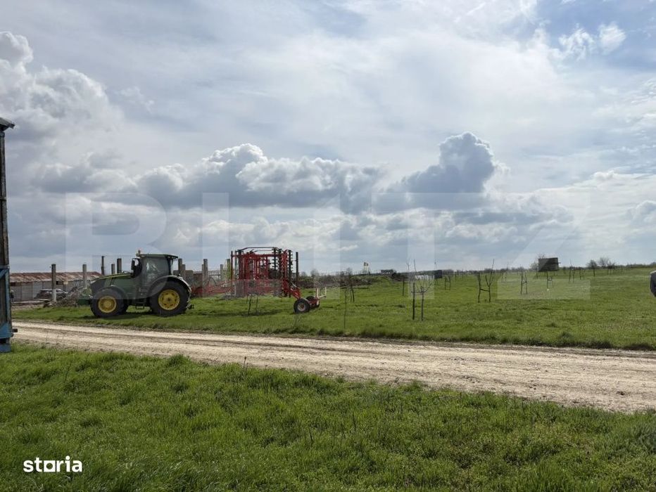 Ferma de nuci - teren agricol, zona Ivesti