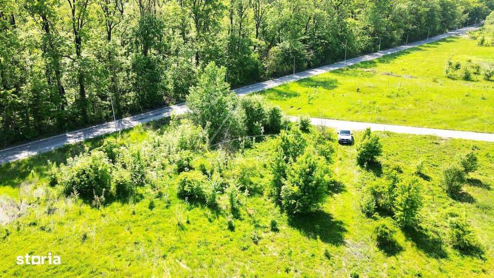 Teren intravilan, 2 fronturi, Drumul Padurea Pustnicu 65 - Greenfield