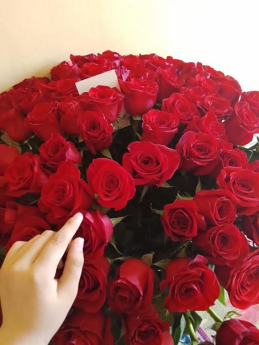 Цветы 101 нидерландские красные розы