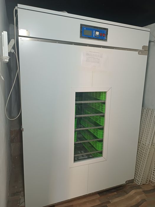 Inkubator sotiladi 3 mingtali