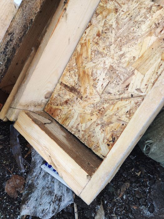 Продажа Леса хороший