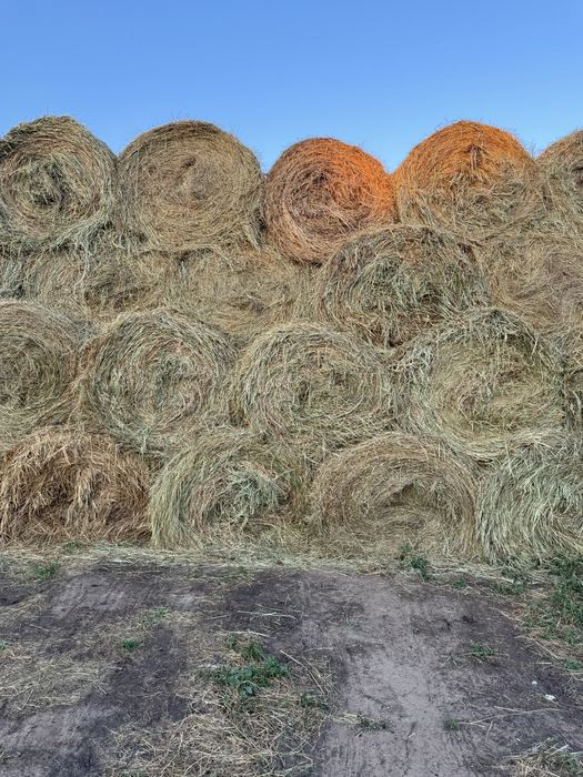 Продается СЕНО в тюках!!!