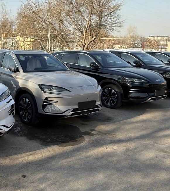 byd champion SMART DRIVE 2026 model narda grey