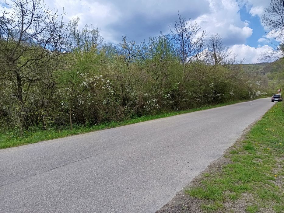 Vând teren extravilan 3700 m2