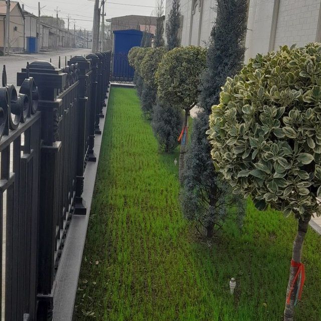 Bogʻbon  Landshaf dizayner