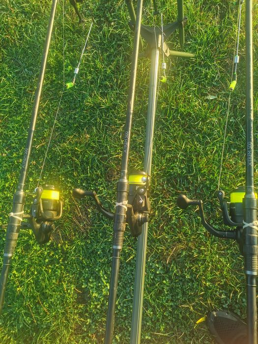 Lansete extrem 500 carp