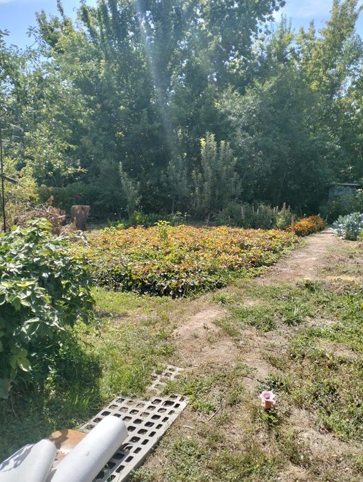 Дачу и 1 комнатную квартиру