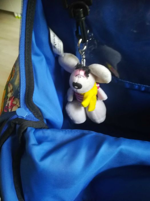 Ученическа раница с твърд гръб