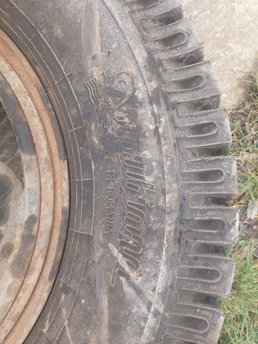 Roti 9.00 r 20 danubiana