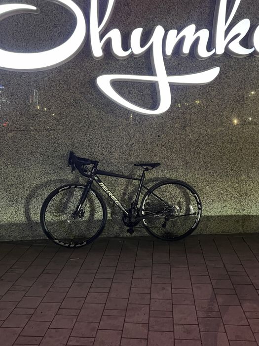 шоссейник erec