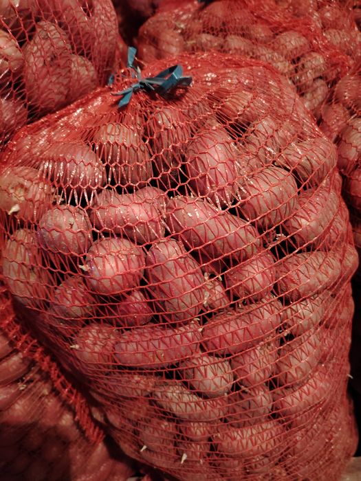 Cartofi animale samanta