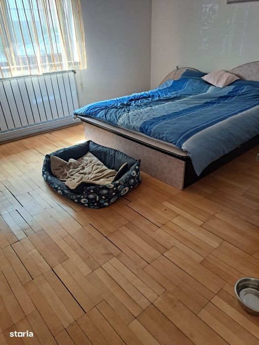 Casă în Cantemir cu 3 dormitoare, living, bucătărie, 2 băi,teren 475mp