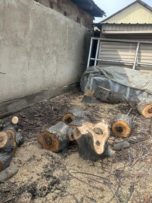 Дрова  бесплатно