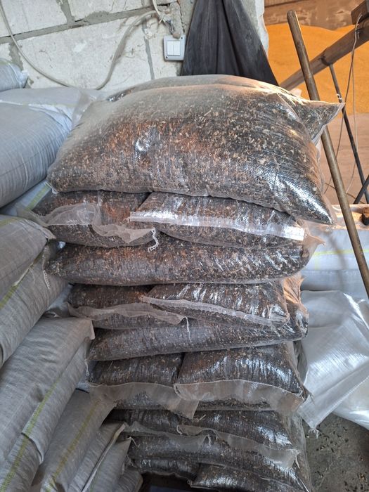 Porumb Grau orz Floarea-soarelui Transport Gratuit la domiciliu 1,25kg