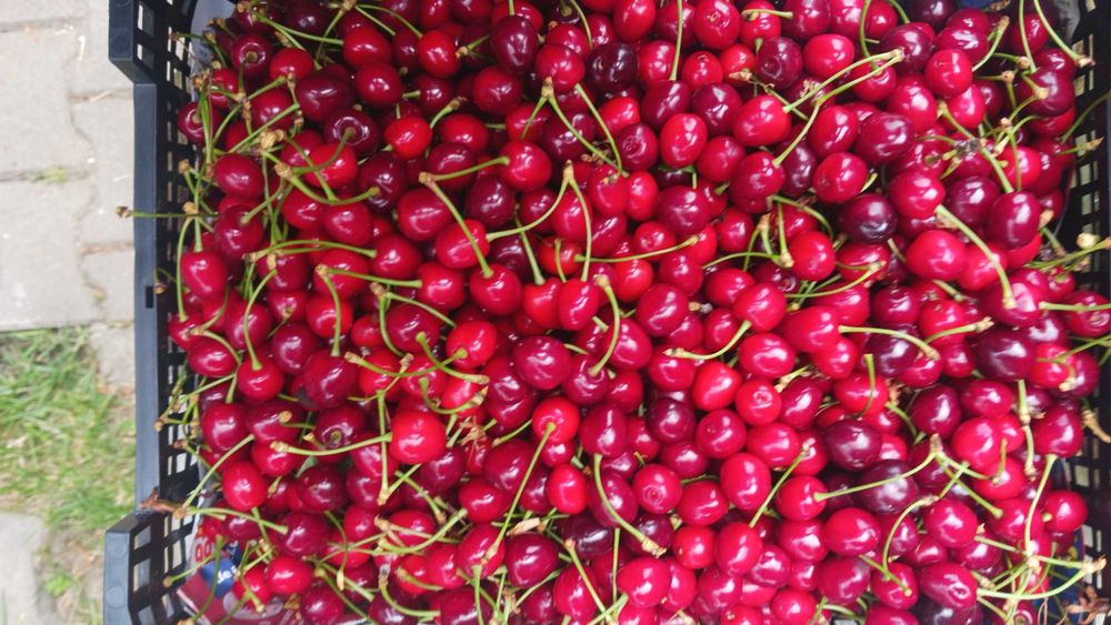 Cireșe, Cireșe, Cireșe 20RON / kg