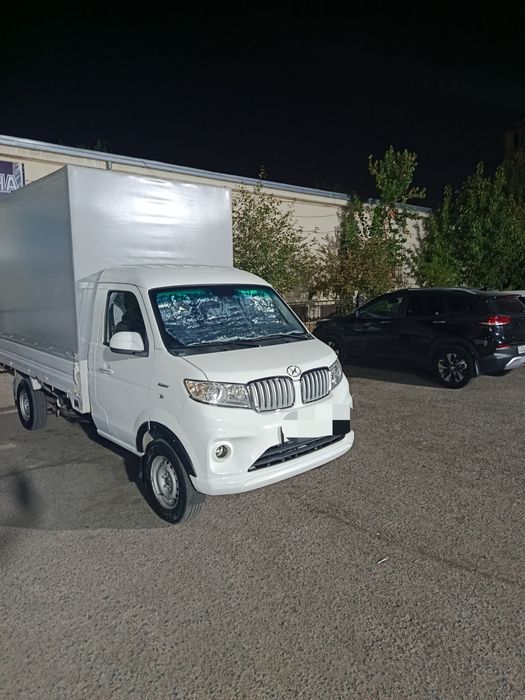 Shineray t30 sepli