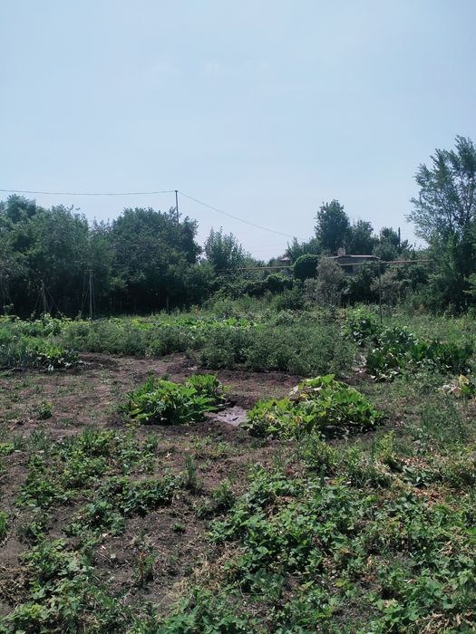 Продам дачу в черте города