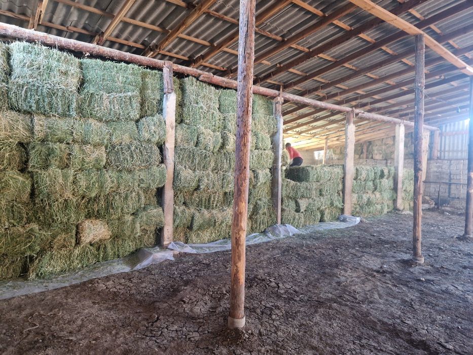 Жоңышқа пресс 2500 тг.