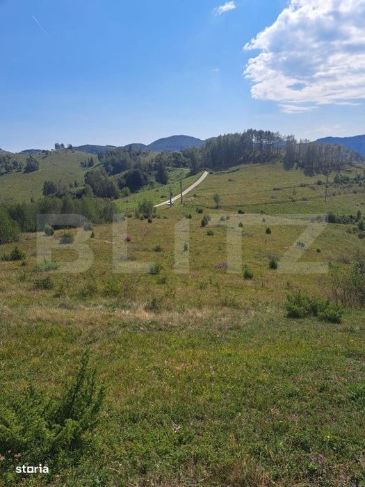 Teren extravilan 4.604 mp cu curent – ideal pentru cabana, zona Tran