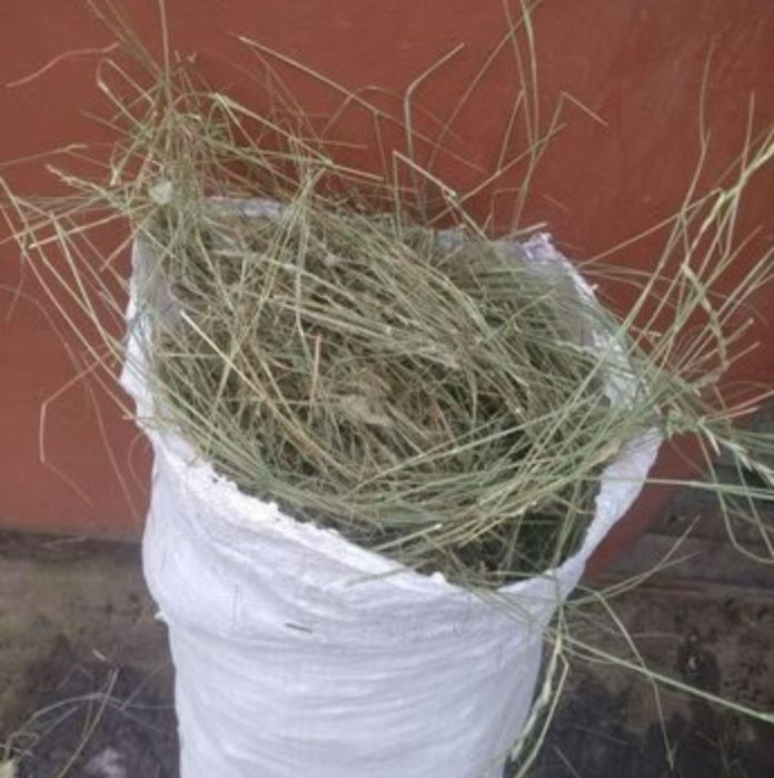 СЕНО в мешках по ул. Оракбаева