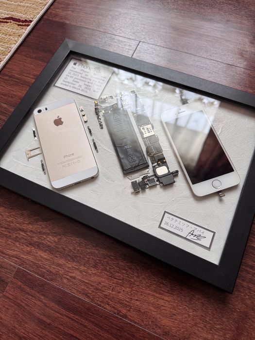 Картина / арт-объект из iPhone 5s