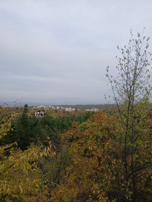 Продава се Парцел в Кюстендил, Център - 1000 кв.м за 50 €/кв.м - Снимка #1