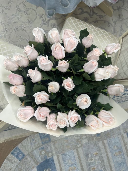 Цветы новые свежие