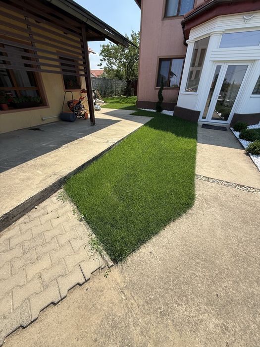 Servicii de peisagistică