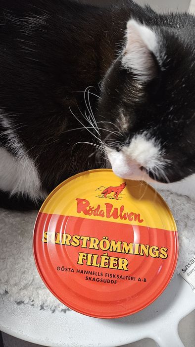 Roda ulven Surstromming - 300g