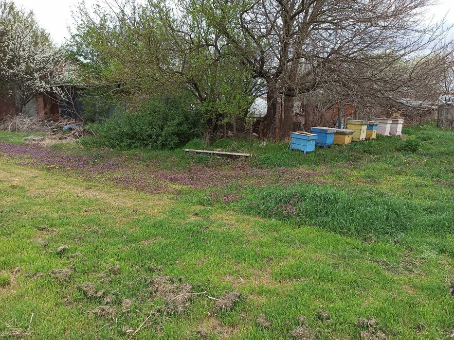 Продава се Къща в Хасково, Орфей - 65 кв.м за 431 €/кв.м - Снимка #2