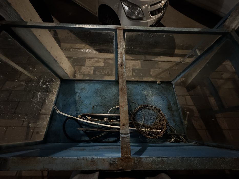 Akvarium baliqlar uchun