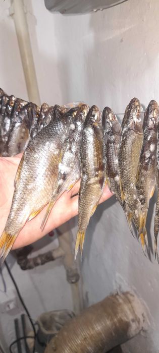 Сушённая рыба, вобла, тарань