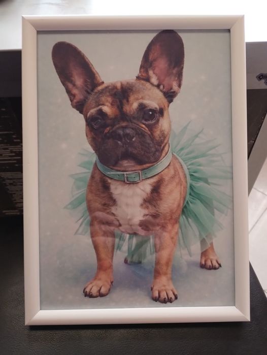 Дигитални карикатури и снимки върху дърво