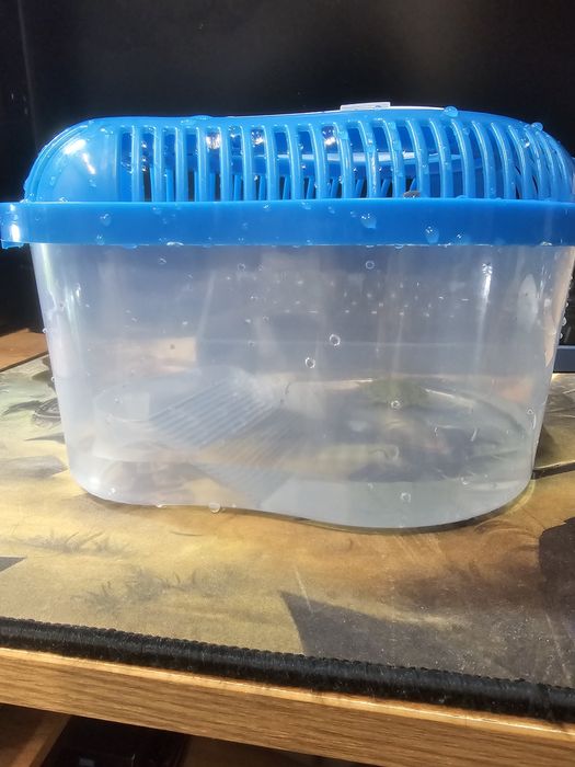 Комплект домик с кормом и черепашкой