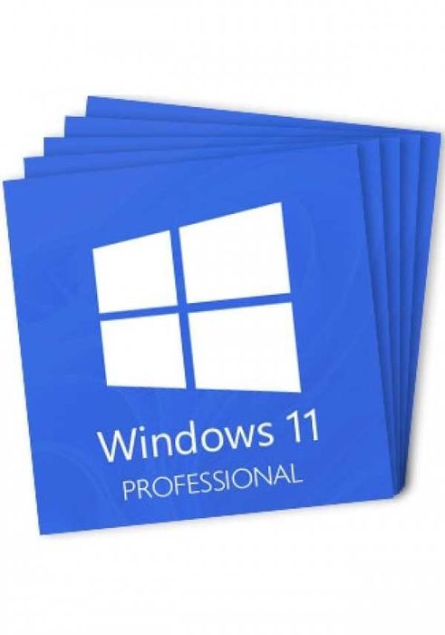 Windows 11 Professional