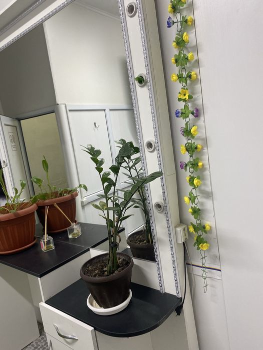 Мебель для салона с зеркалом