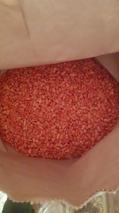 Семена кукуруза 15кг ФАО500