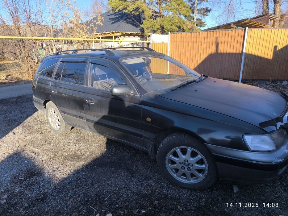 Калдила не битая в отс.