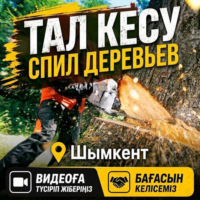 Тал кесу , Спил обрезка деревьев , Ағаш кесу , Спилить дерево Шымкент