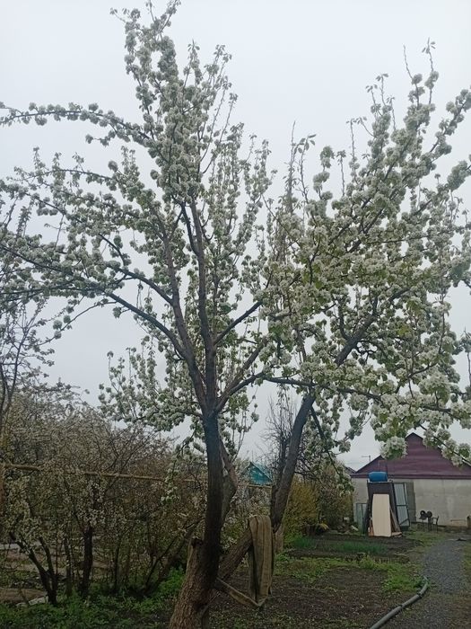 Продаётся дача Кривое озеро