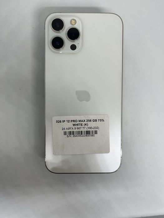 12 pro max 256 gb 75%